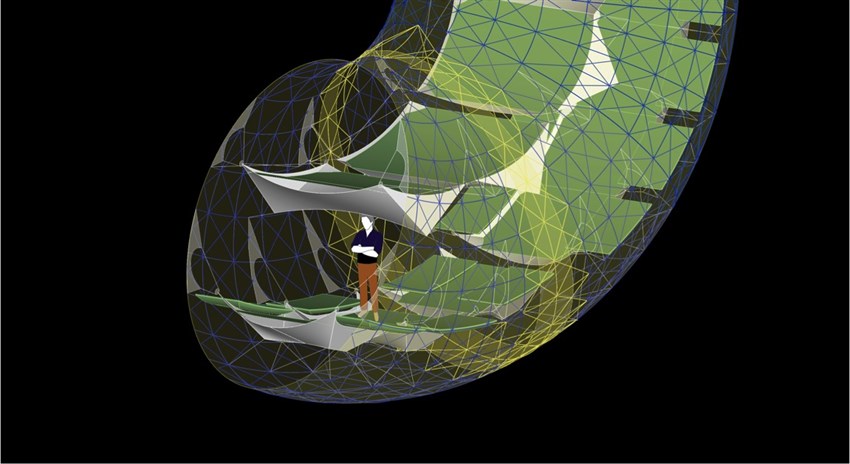 Photo of a simulated person inside a toroid
