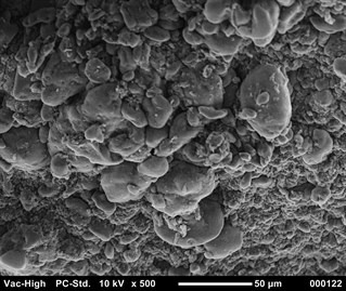 Maginified image of lyophilised clot