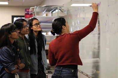 One of the team members writing on a white board, while other members look.