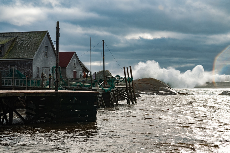 Houses along the coast.