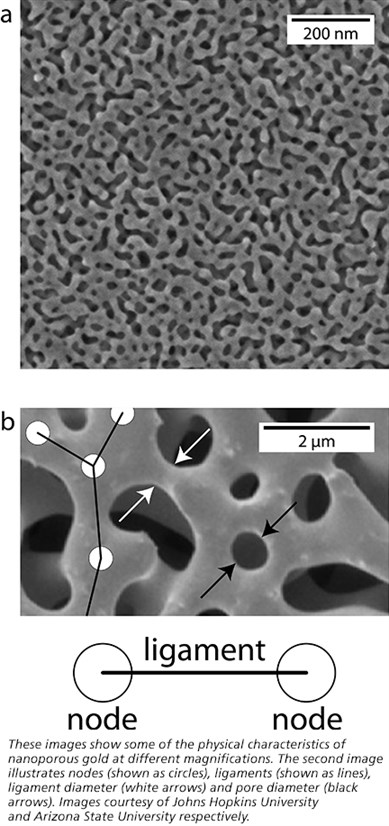 Physical characteristics of nano-porous gold at various magnifications