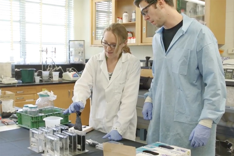Two researchers working in the lab.