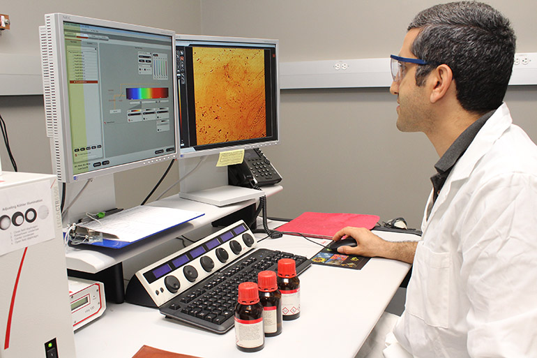 Dr. Hadi Nasrabadi looking at his research data on computer screens.