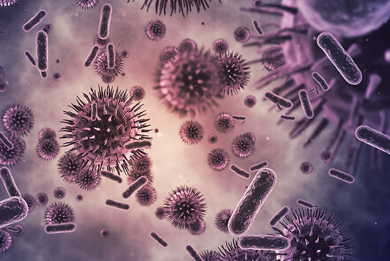Closeup of bacteria under a microscope