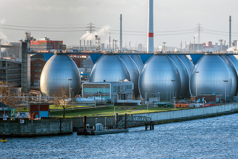 Water plant