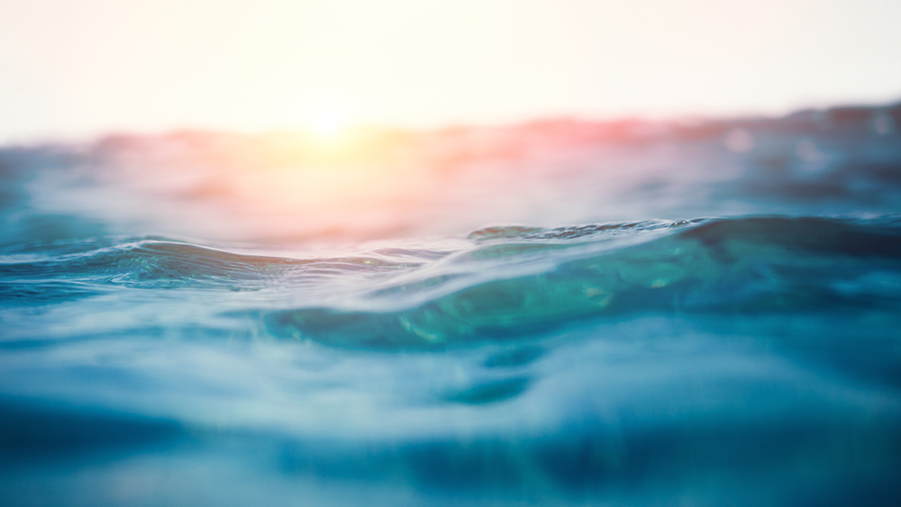 The sea surface with setting sun