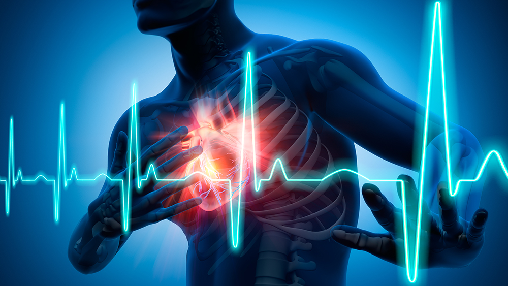 Digital graphic of a human torso featuring heart, ribs, and other bones.