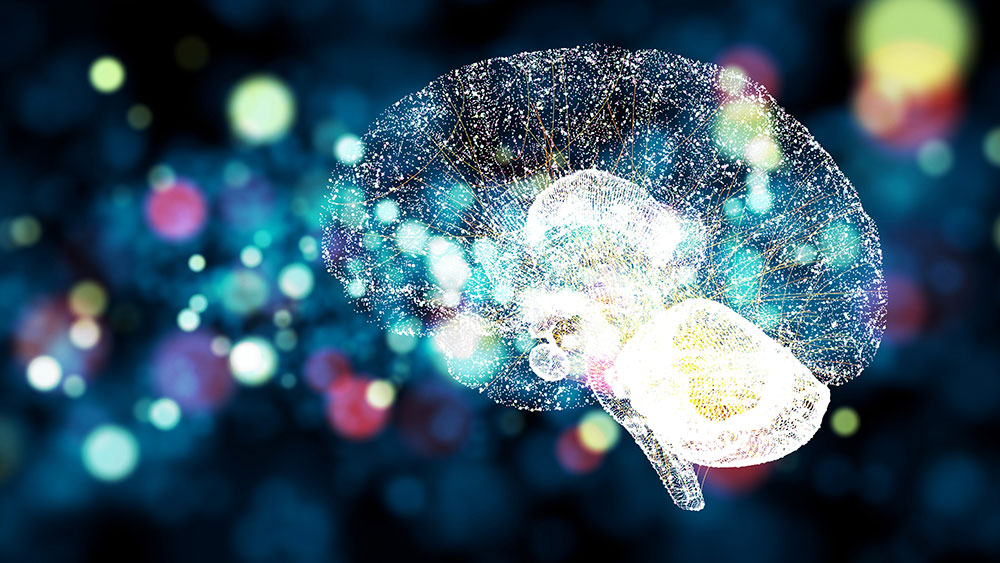 Photo composite of human brain. 