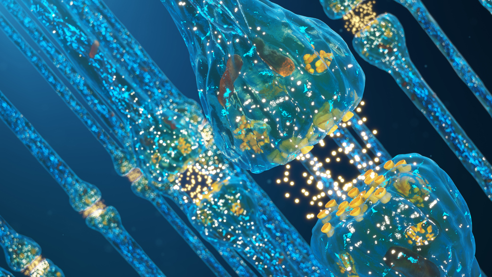Illustration of neurons in the brain connecting