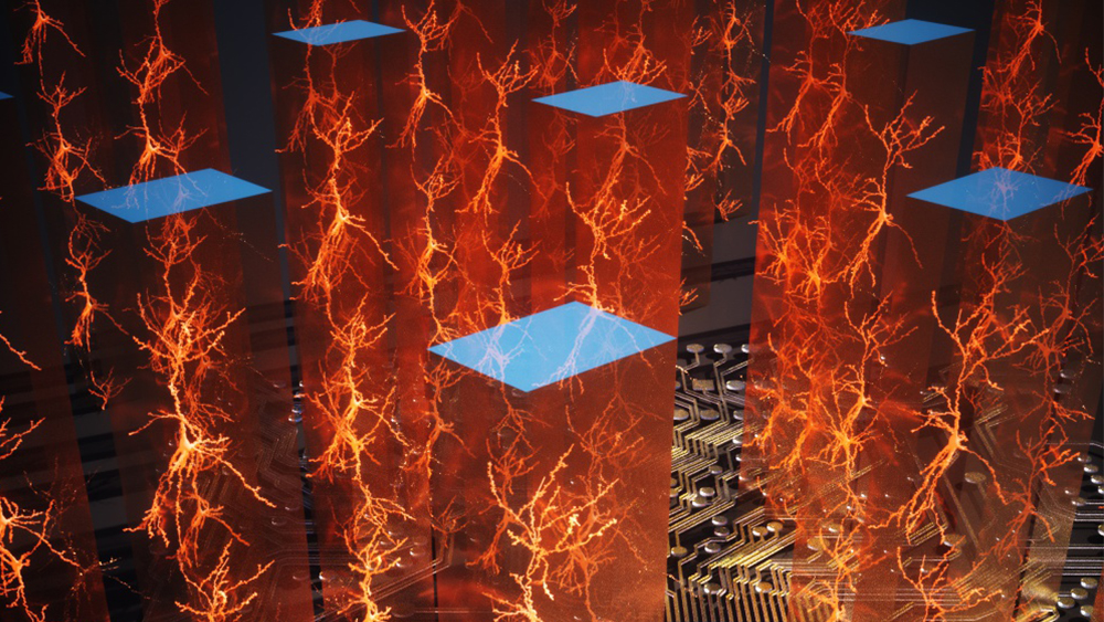 Stylized graphic showing columns of neurons on a circuit board.