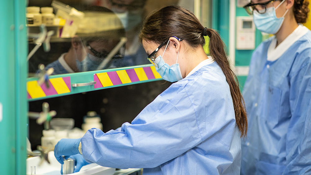 Students in a lab working on Advanced Nuclear Energy for Enriched Life pellets.