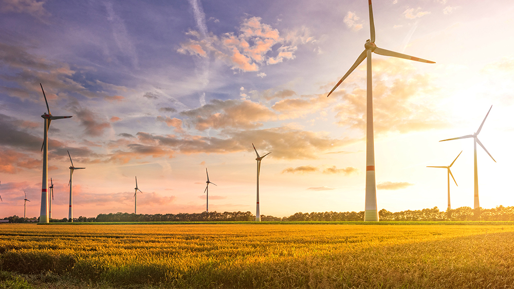 Wind farm with many wind turbines.