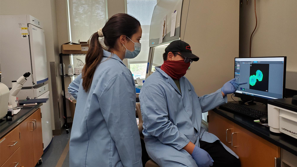 Two students discuss cell image in lab
