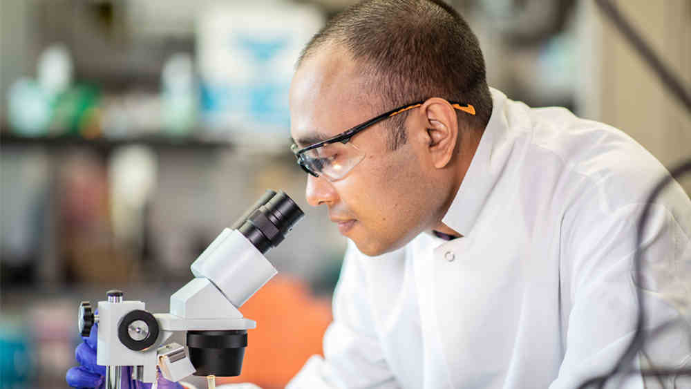 Student in lab looking through microscope
