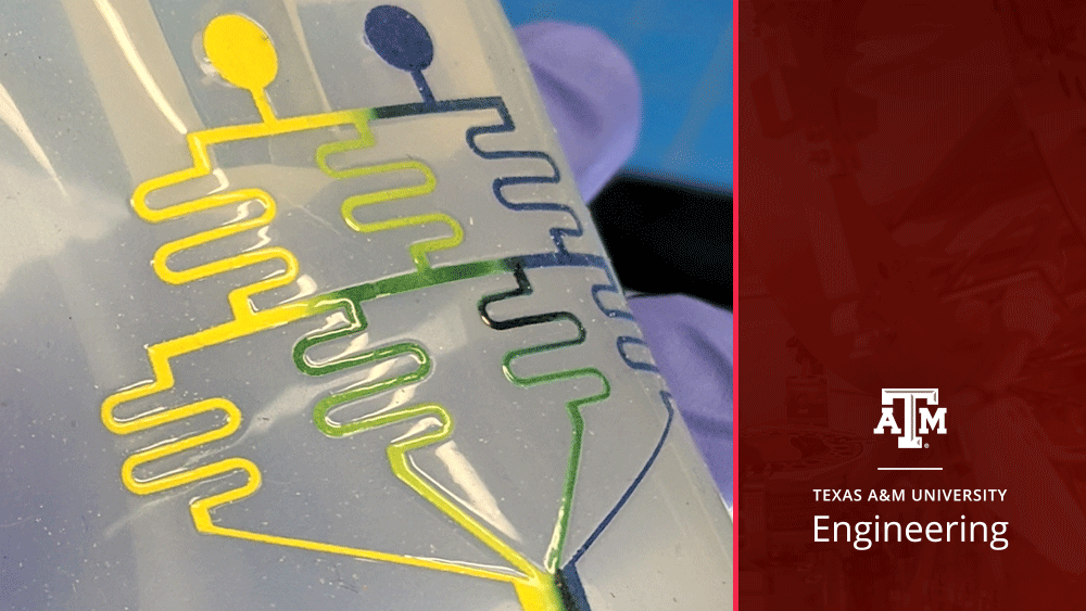 Paper microfluidic device with Texas A&M University College of Engineering logo overlayed.