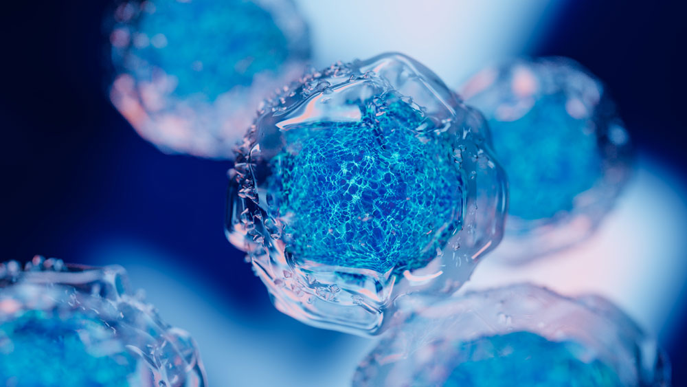 Computer-generated illustration of clear cell structures with colorful nucleus interiors.