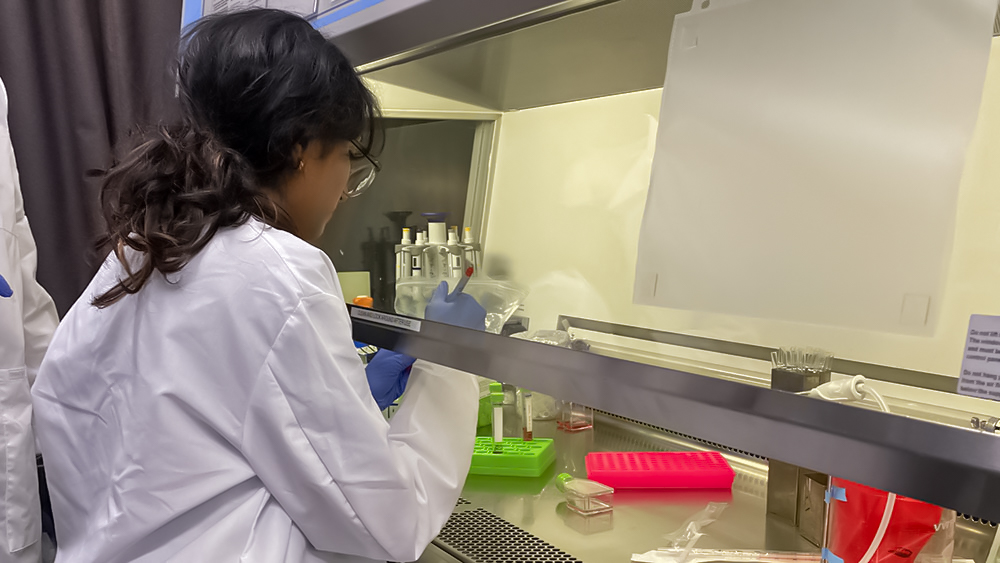 Richa Kalari working in the lab